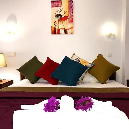 Manzara No 1 Apartman Oludeniz