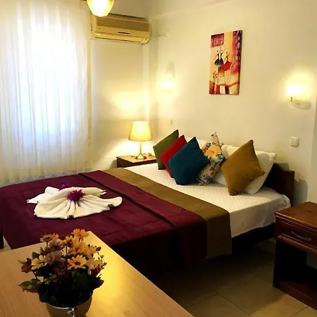 Apartment Manzara No 1